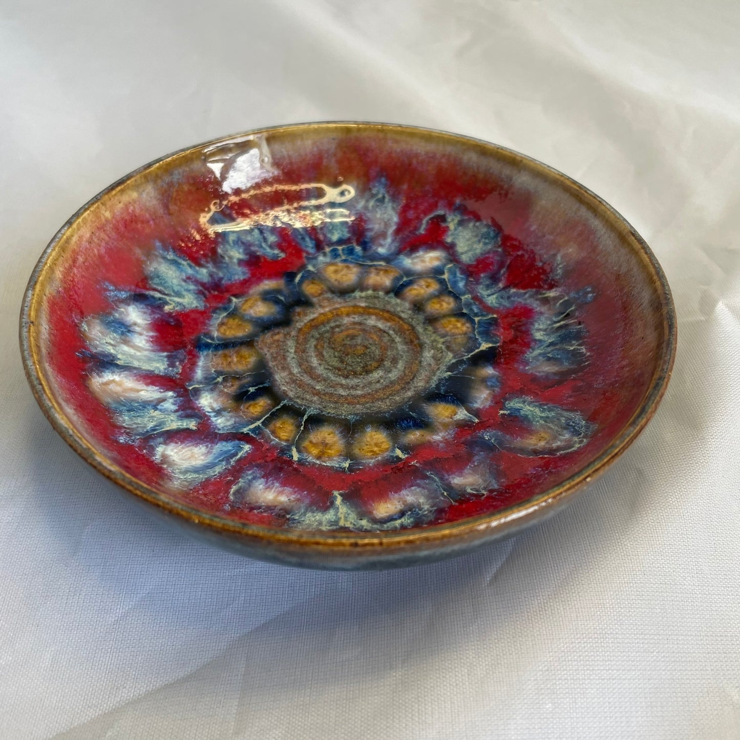 Fossil Dish 51-004