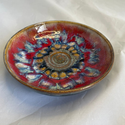 Fossil Dish 51-004